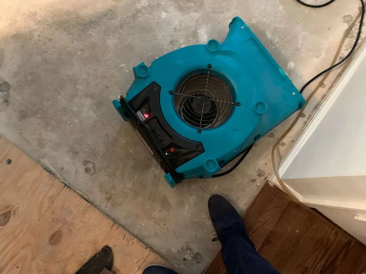 Air mover drying subfloor during Commercial Water Damage Restoration in Gloucester Point